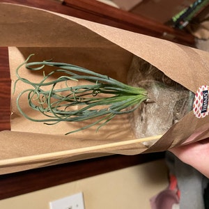 Lisa added a photo of their purchase