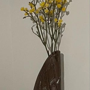 Rachel added a photo of their purchase