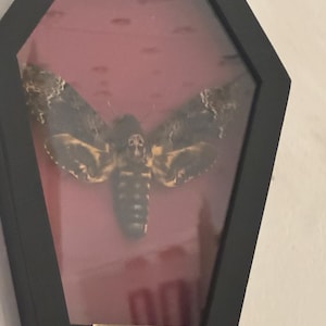 Acheteur Etsy a ajouté une photo de son achat