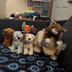 Em added a photo of their purchase