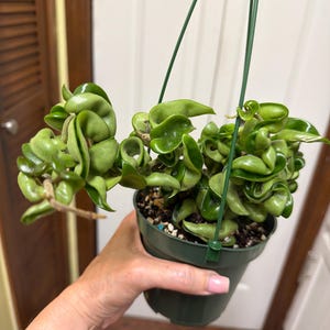 Amy added a photo of their purchase