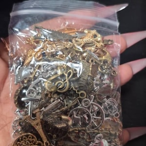 TR added a photo of their purchase