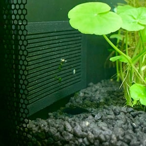 Comprador de Etsy ha añadido una foto de su compra