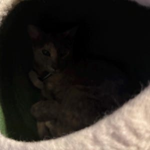 Valerie added a photo of their purchase