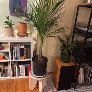 Nichole added a photo of their purchase