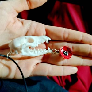 Necklace with real raven's skull and real fox vertebrae bone, jewelry, #12 | UK Necklace with real raven's skull and real fox vertebrae bone, jewelry, #12 | UK