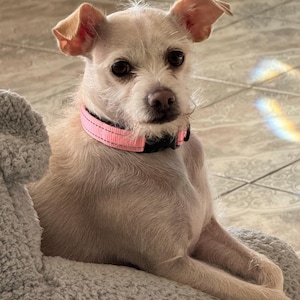 Blanca ha aggiunto una foto del proprio acquisto