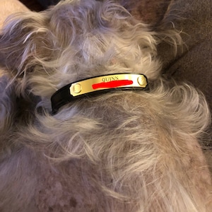 Ayla added a photo of their purchase