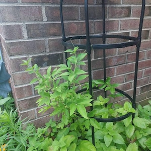 Charise added a photo of their purchase