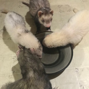 Cuenta inactiva ha añadido una foto de su compra