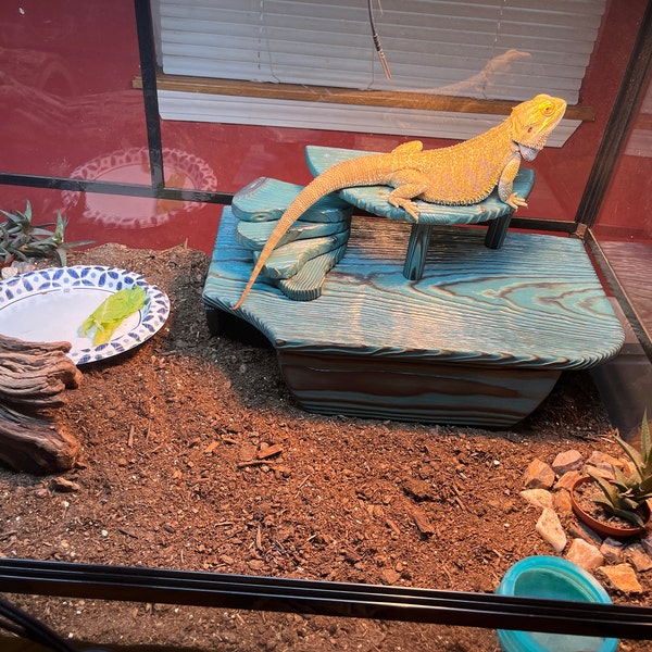 Square Hide With Ramp - Etsy