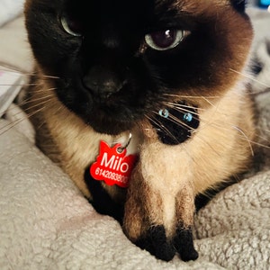 Melanie added a photo of their purchase