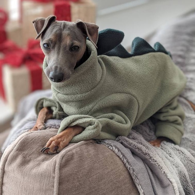 Dinosaur Fleece Onesie© for Italian Greyhounds Etsy