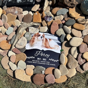 Ashley added a photo of their purchase