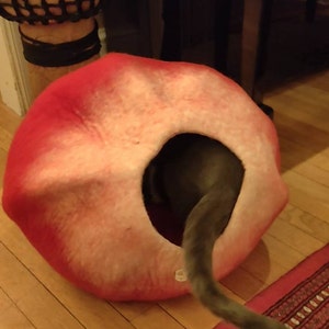 Carol added a photo of their purchase