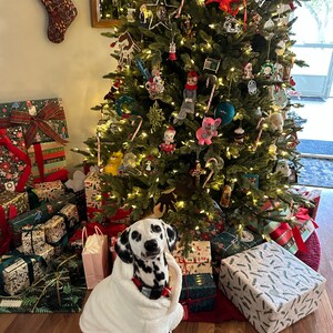 Eyleen added a photo of their purchase