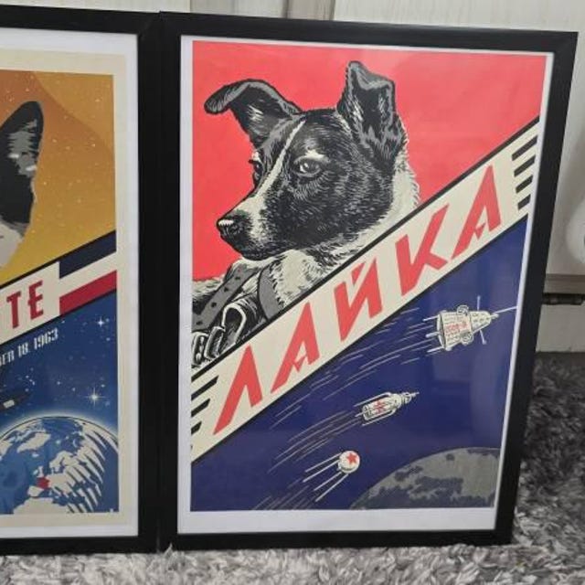 Laika / USSR, Soviet poster — Vintage space poster