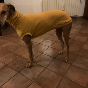 Claudia added a photo of their purchase