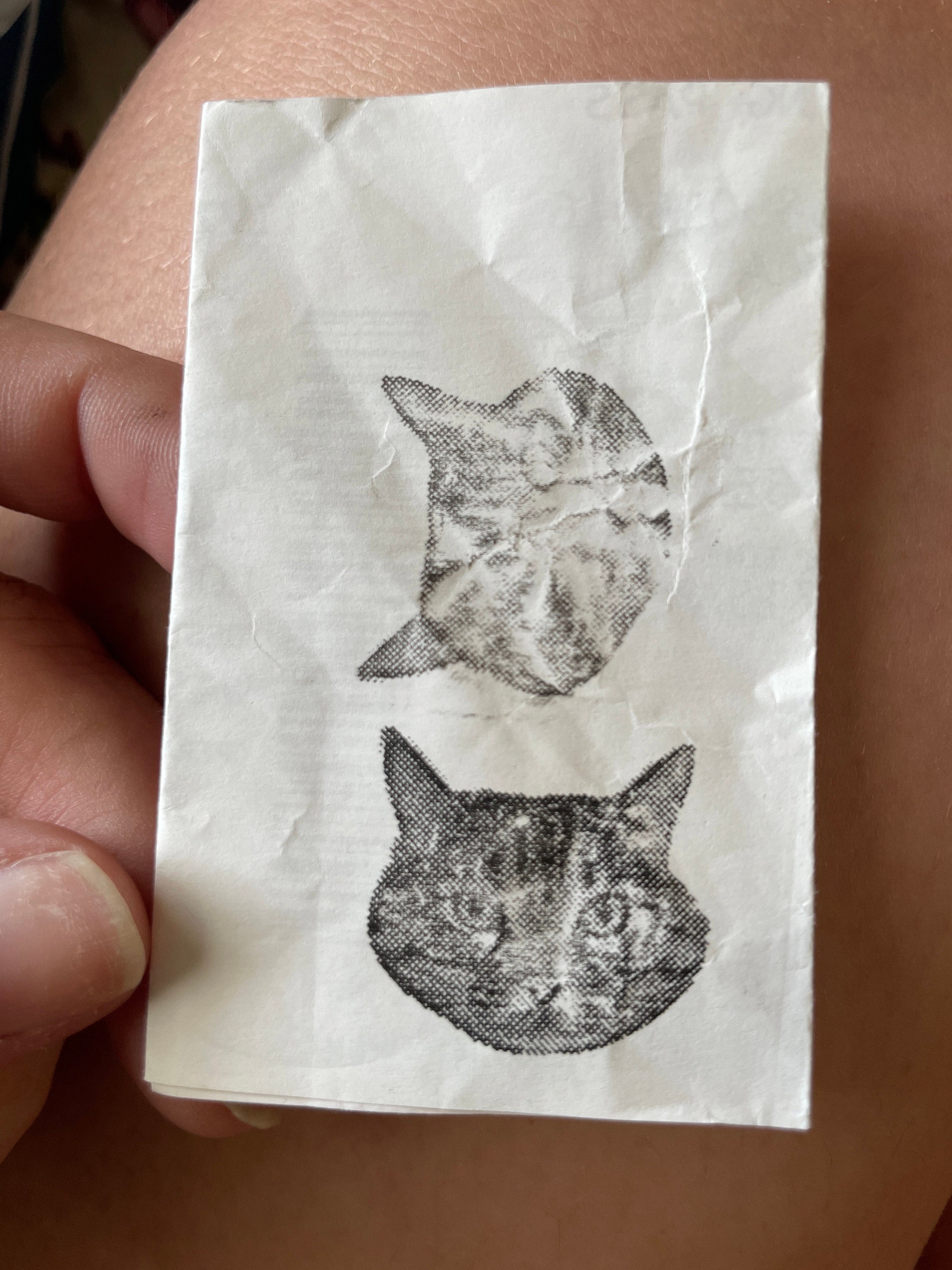 Personalized Custom Cat Portrait Ink Stamp - Unique Pet Face Stamp for Cat Lovers - Customizable Gift!