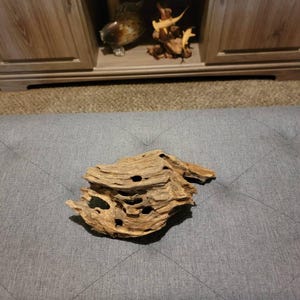 Dragon Wood for Aquarium or Vivarium, Terrarium Driftwood Fish tank shrimp wood