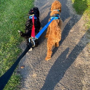 Plain Multiple Dog Walking Lead Adjustable for Each Dog Dual Lead