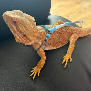 Bugz added a photo of their purchase