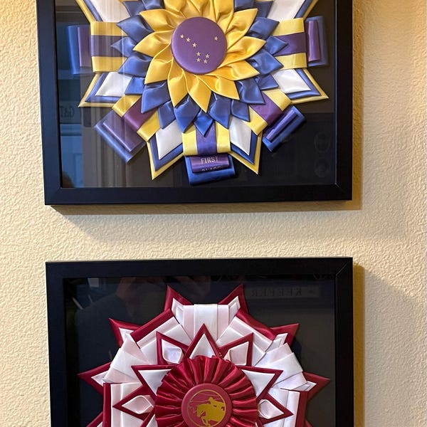 Ribbon Shadow Box Display - Etsy