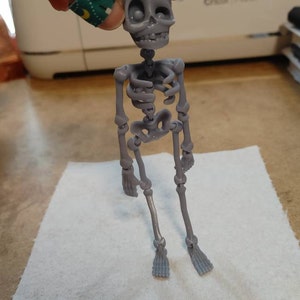 Joli squelette d'acteur Flexi imprimé sur place STL pour impression 3D -   France
