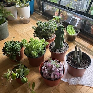 Gina added a photo of their purchase