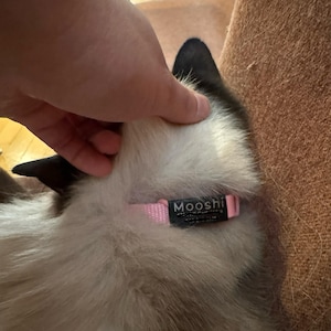 Emily added a photo of their purchase