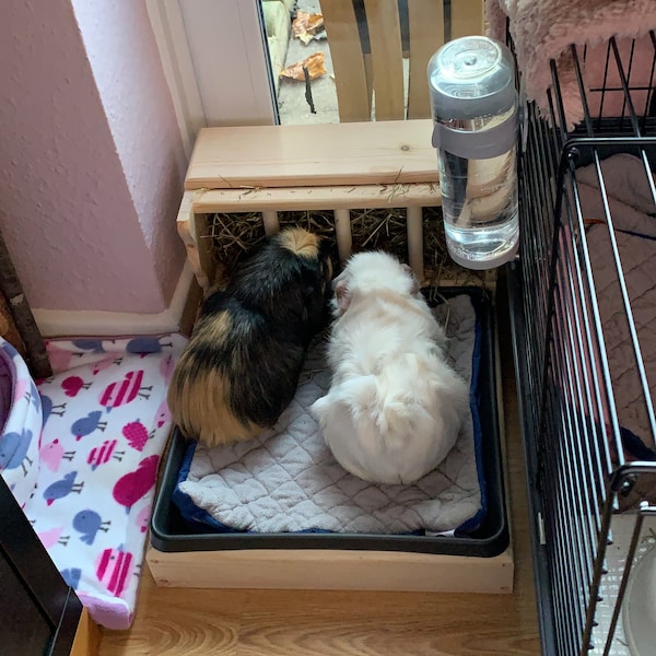 View of Guinea Pig Hay Feeder, Hay Rack Wooden, Made by Asaswood - Etsy
