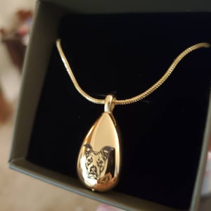 Kady added a photo of their purchase