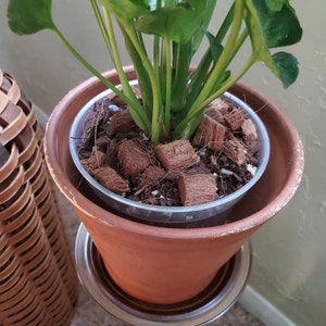 Dorothy added a photo of their purchase