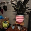 Small Lime Wavy Planter