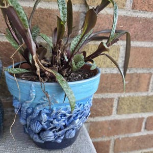 Janine added a photo of their purchase