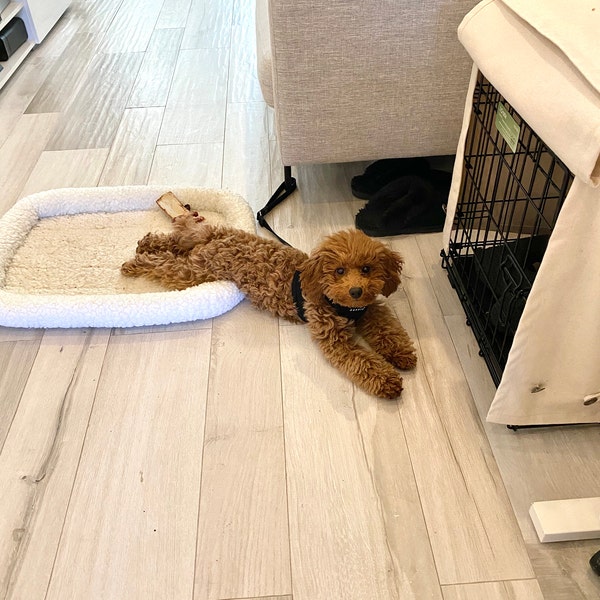 Washable Dog Crate Cover in Natural - Etsy - Washable Dog Crate Liners With Fresh Fragrances
