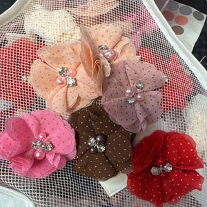 Irene added a photo of their purchase