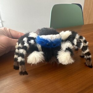 6インチ ハエトリグモ Maratus Personatus アートドール かわいいクモ