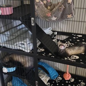 muffin added a photo of their purchase