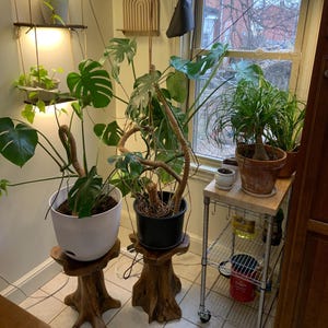 George added a photo of their purchase