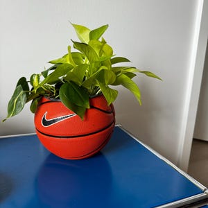 Mia ha añadido una foto de su compra