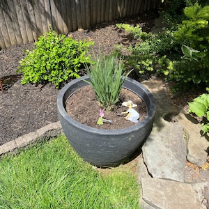 Margaret added a photo of their purchase