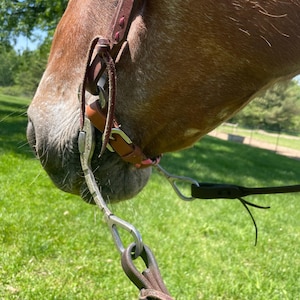 Amanda added a photo of their purchase
