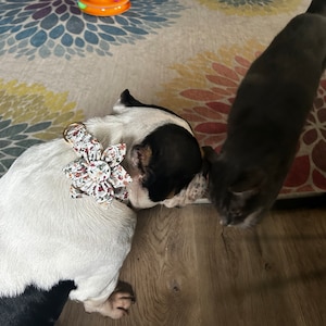 Tamira added a photo of their purchase
