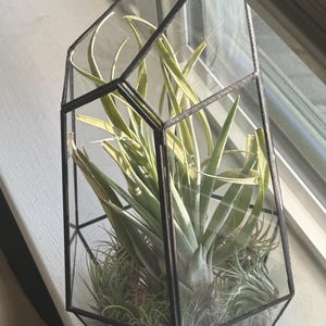 Steven added a photo of their purchase