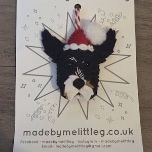 Alice added a photo of their purchase