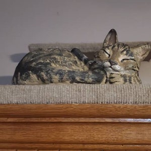 Terri added a photo of their purchase