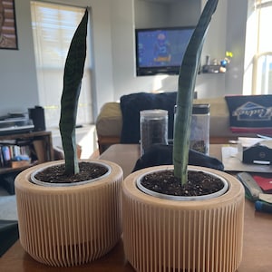 Roderick added a photo of their purchase