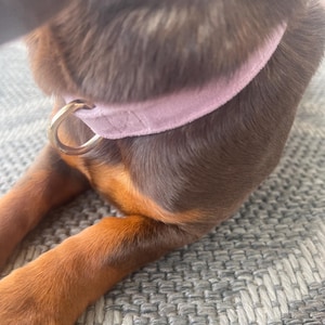 Andrea added a photo of their purchase