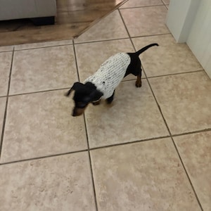 Terry added a photo of their purchase
